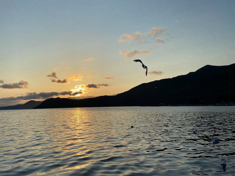 105/2 HØYDALSFJORD bei Florø - 17