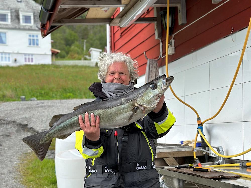 81/4 TYSNES am Hardangerfjord - 10