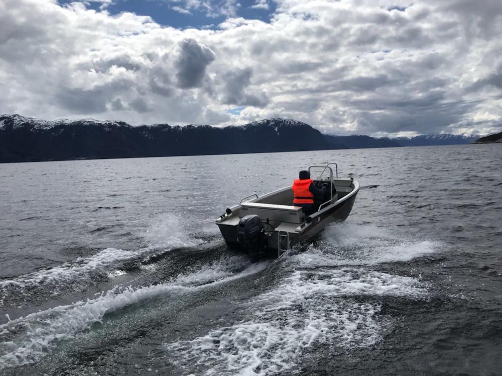 100/5 TORVUND am Sognefjord - 8