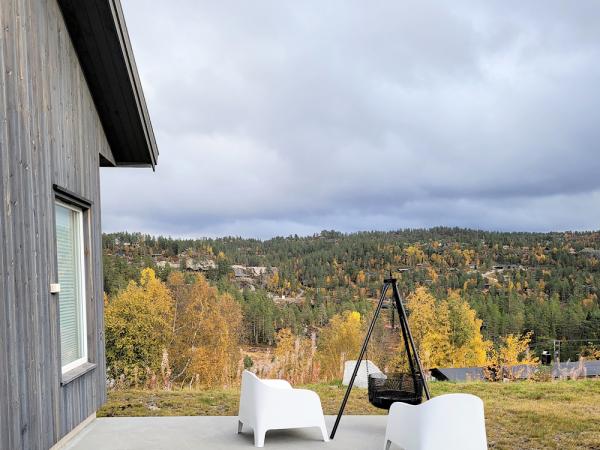 216/1 ÅSERAL im Setesdal