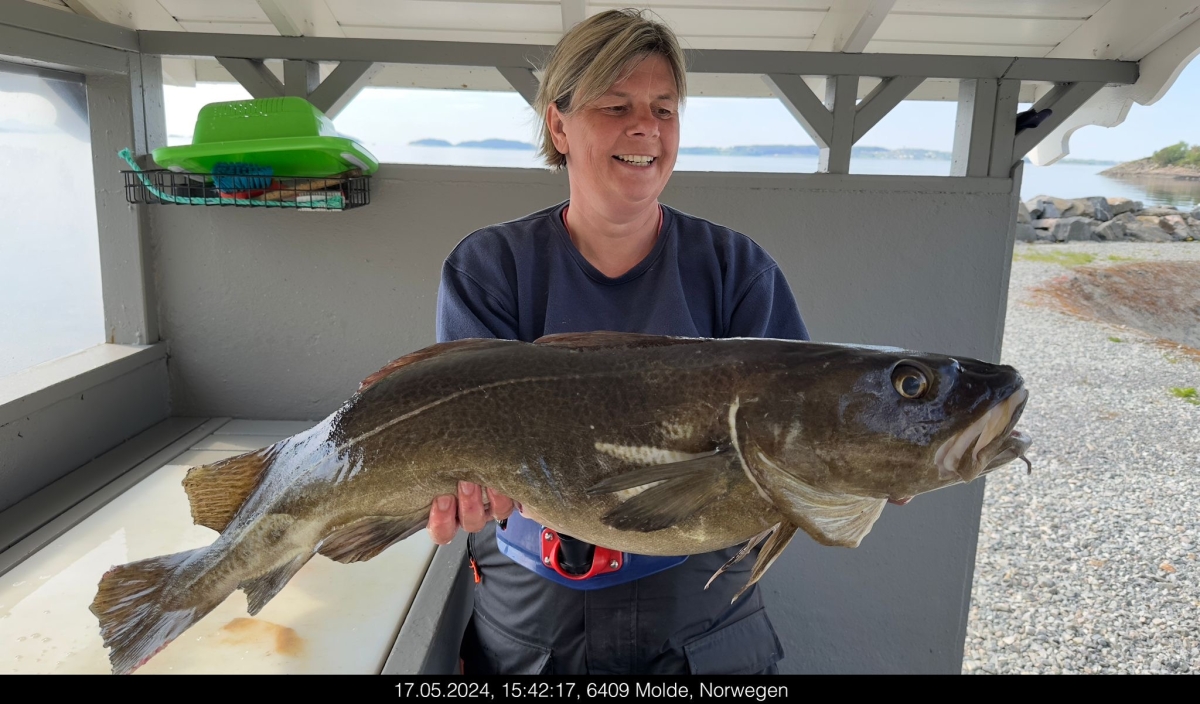 dicke fische 2024.jpeg