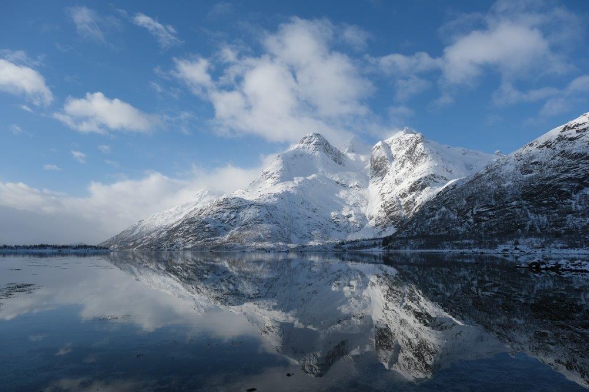 gaestebilder saison 2025.jpg