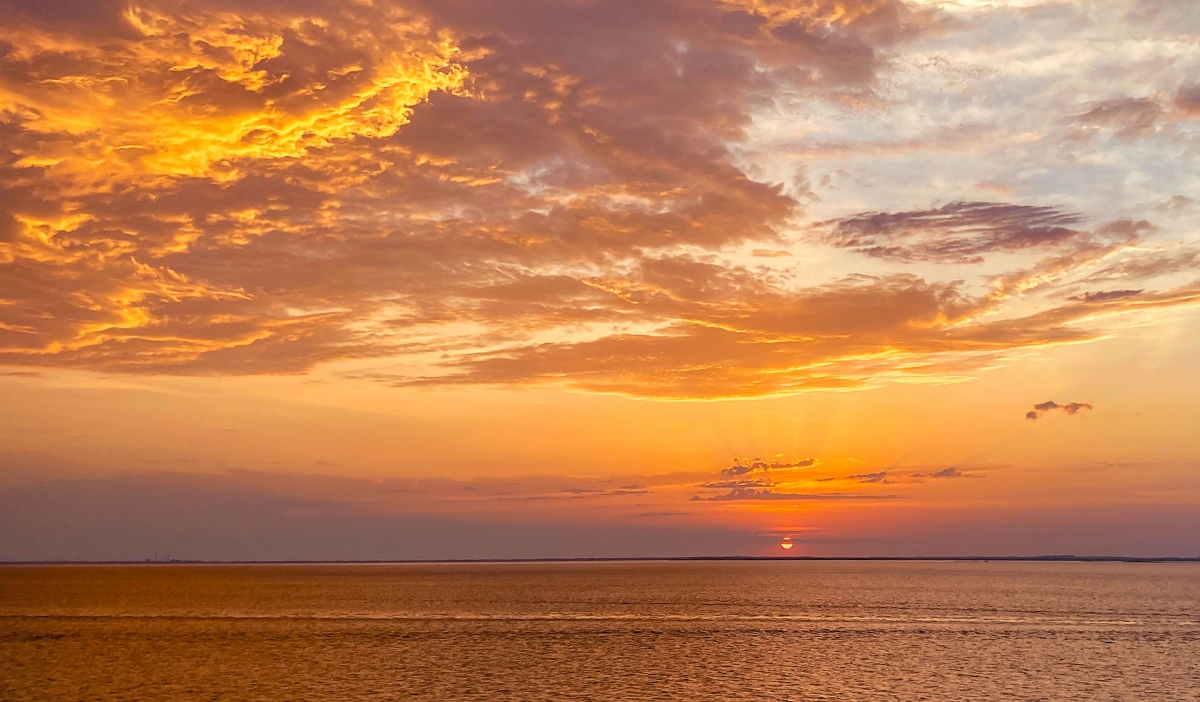 gaestebilder saison 2025.jpg