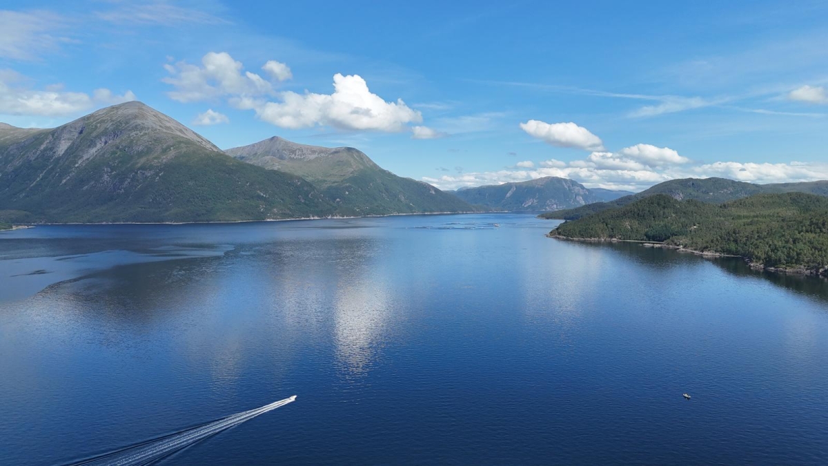 gaestebilder saison 2025.jpeg