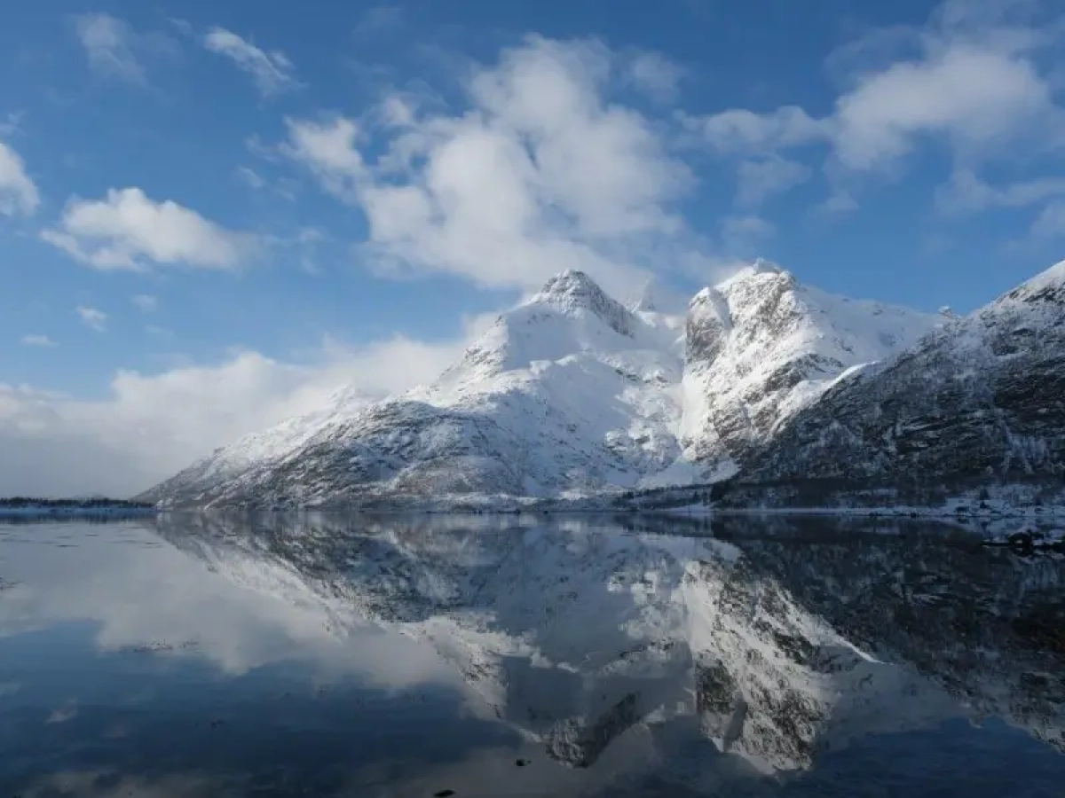 gaestebilder saison 2025.webp