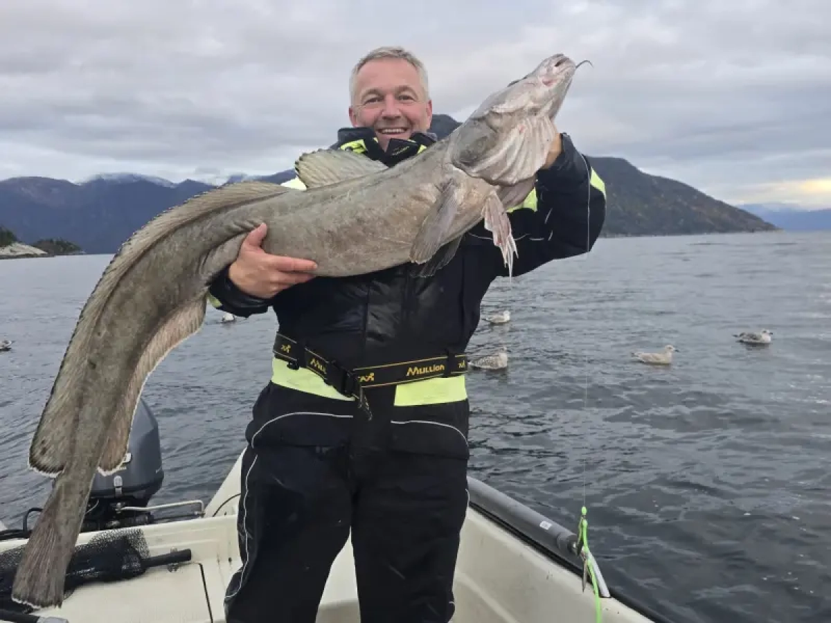 dicke fische 2025.webp