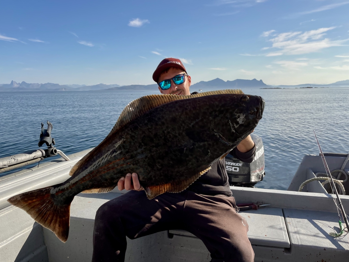 dicke fische 2025.jpeg