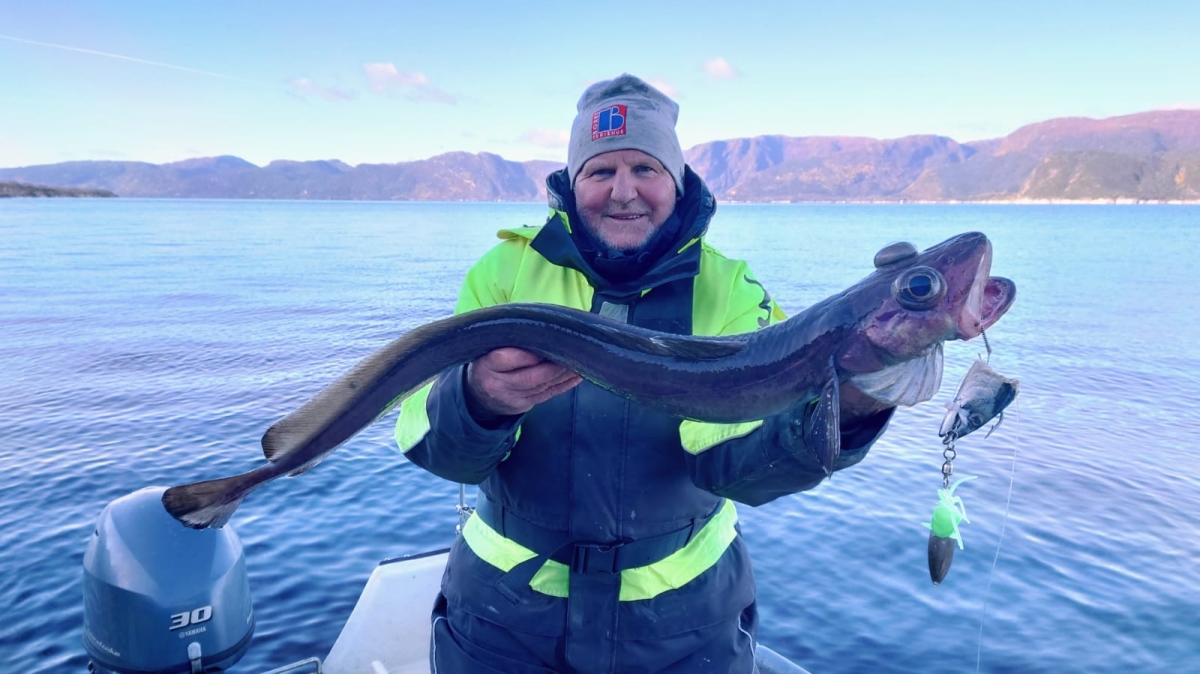 dicke fische 2025.jpg