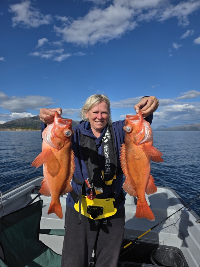 dicke fische 2025.jpg