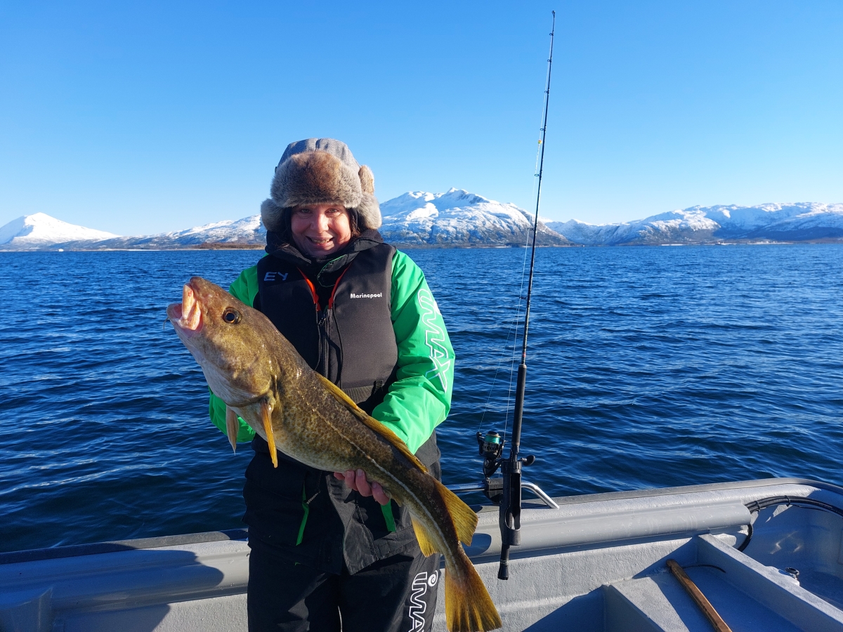 dicke fische 2025.jpg