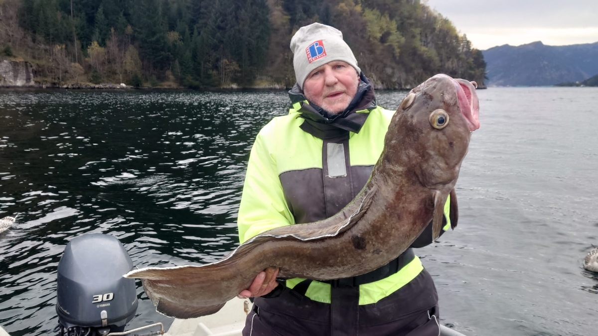 dicke fische 2025.jpg