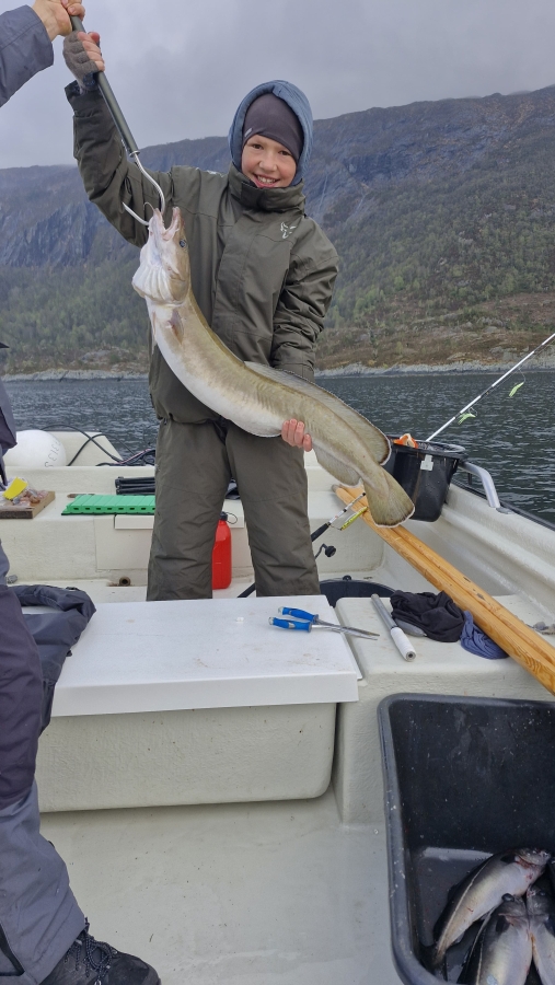 dicke fische 2025.jpg