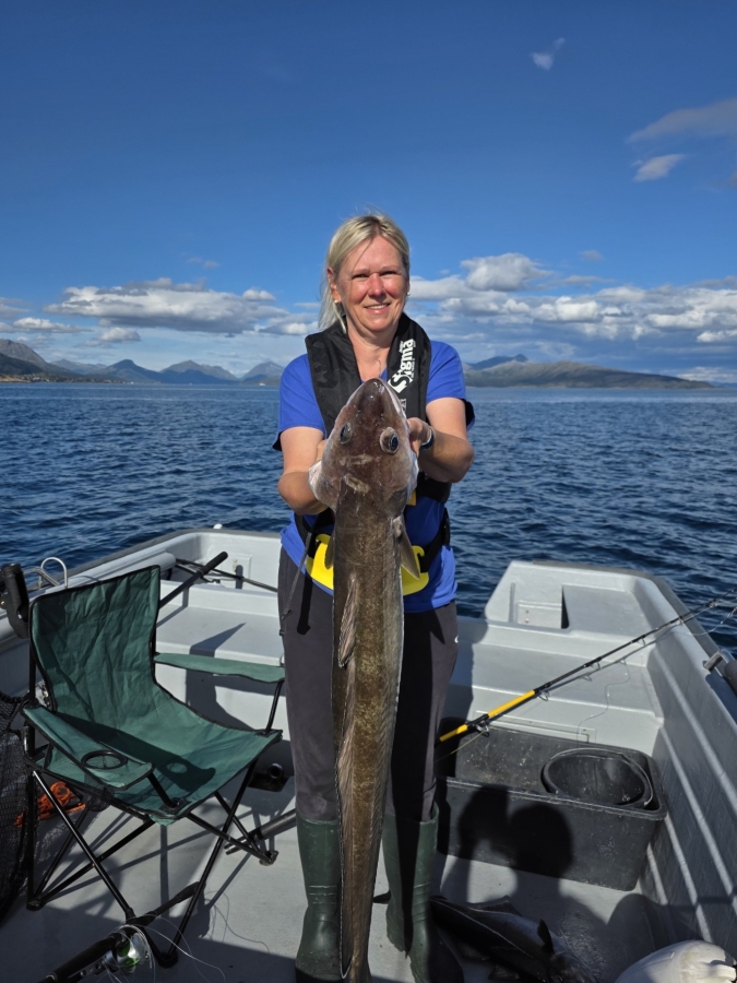 dicke fische 2025.jpg