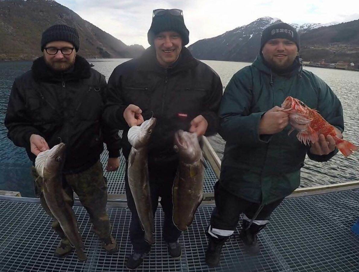 Vadheimfjord April 2016 - 6