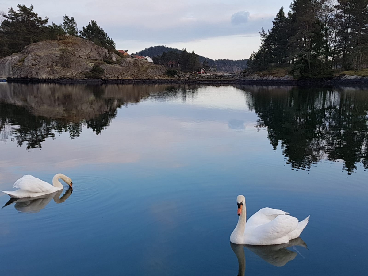 März, April ..... Frühling 2019 - 1