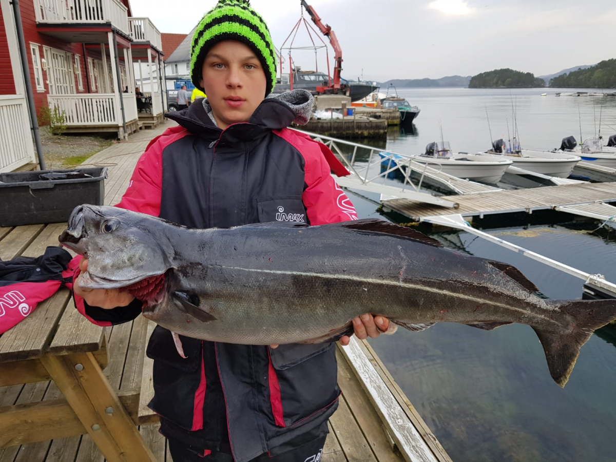 Dicke Fische 2019 - 4