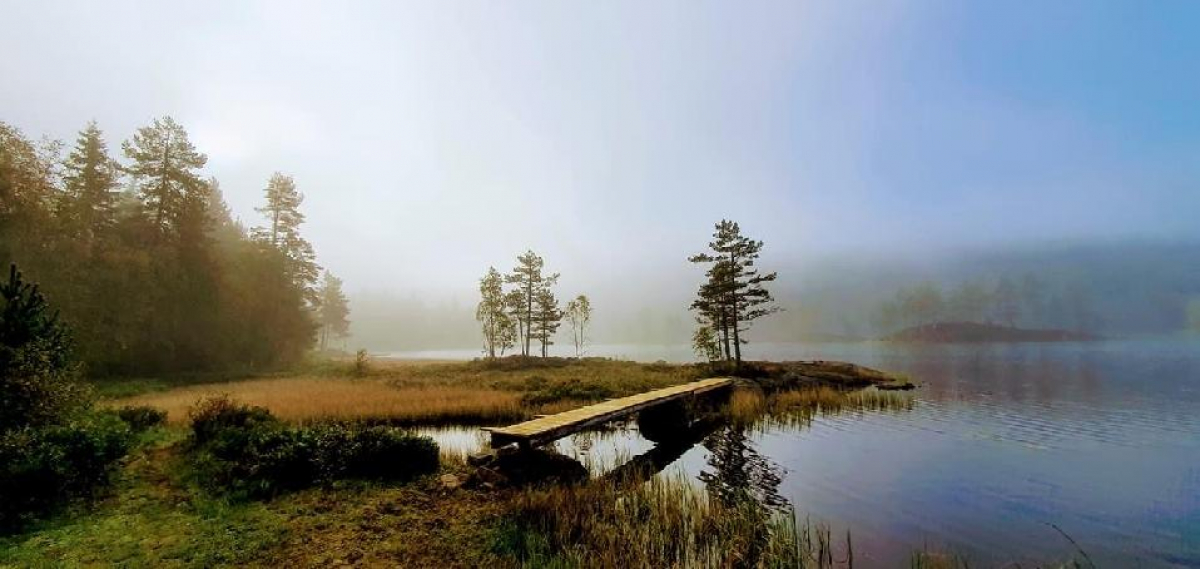 Volltreffer im Sommer – Gästebilder 2020 - 2