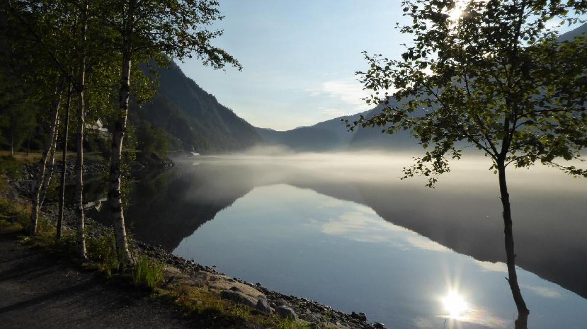 Volltreffer im Sommer – Gästebilder 2020 - 3