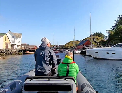 Alden - Fjordpferd - Jarle & Sven