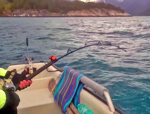 Planned success - Fishing at Sognefjord