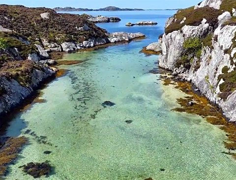 Borks Impressions 2026